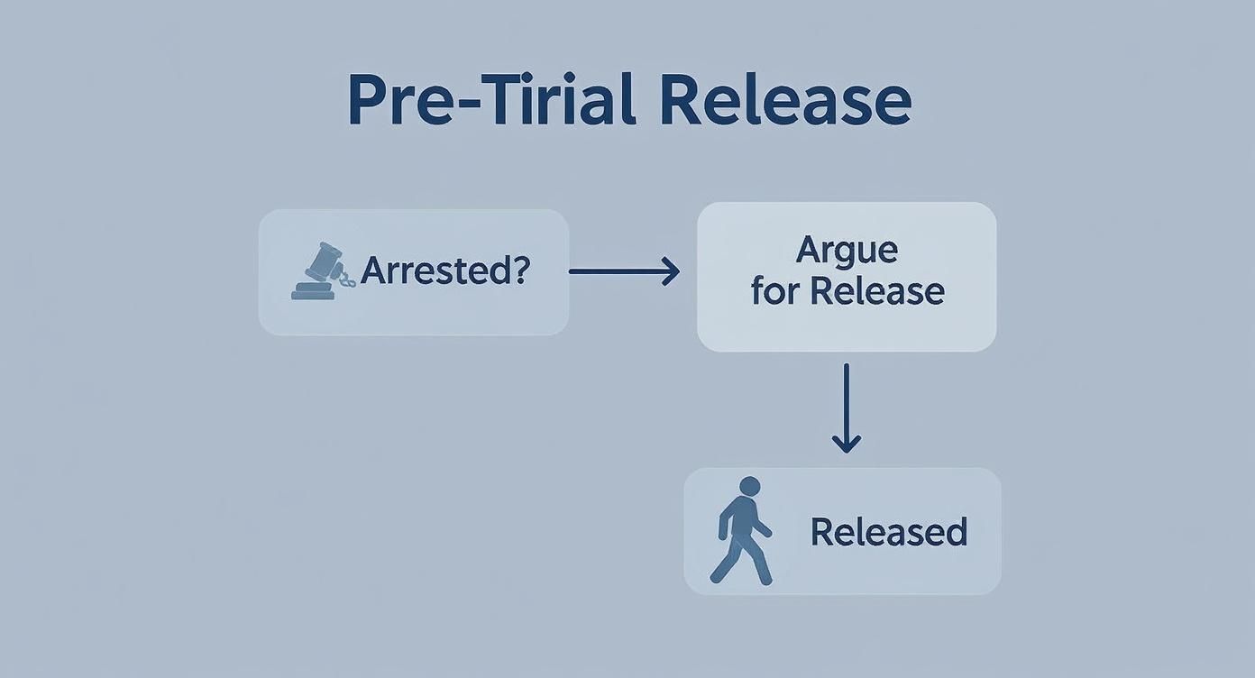 Flowchart illustrating the pre-trial release process, featuring steps: "Arrested?", "Argue for Release," and "Released," emphasizing the importance of securing release after an arrest in the context of criminal defense.