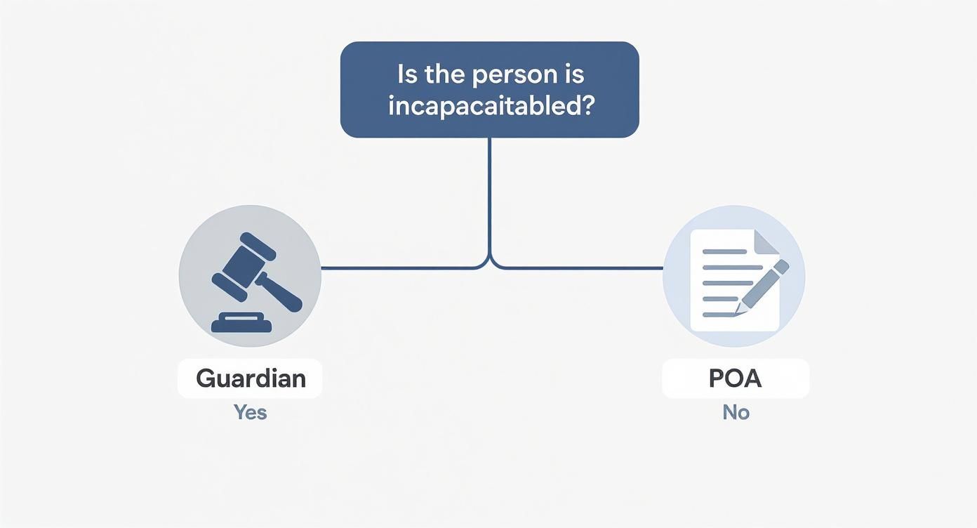 Infographic about difference between legal guardian and power of attorney