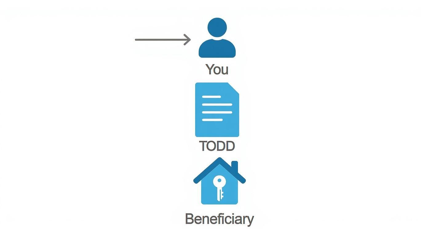 Infographic about transfer on death deed texas