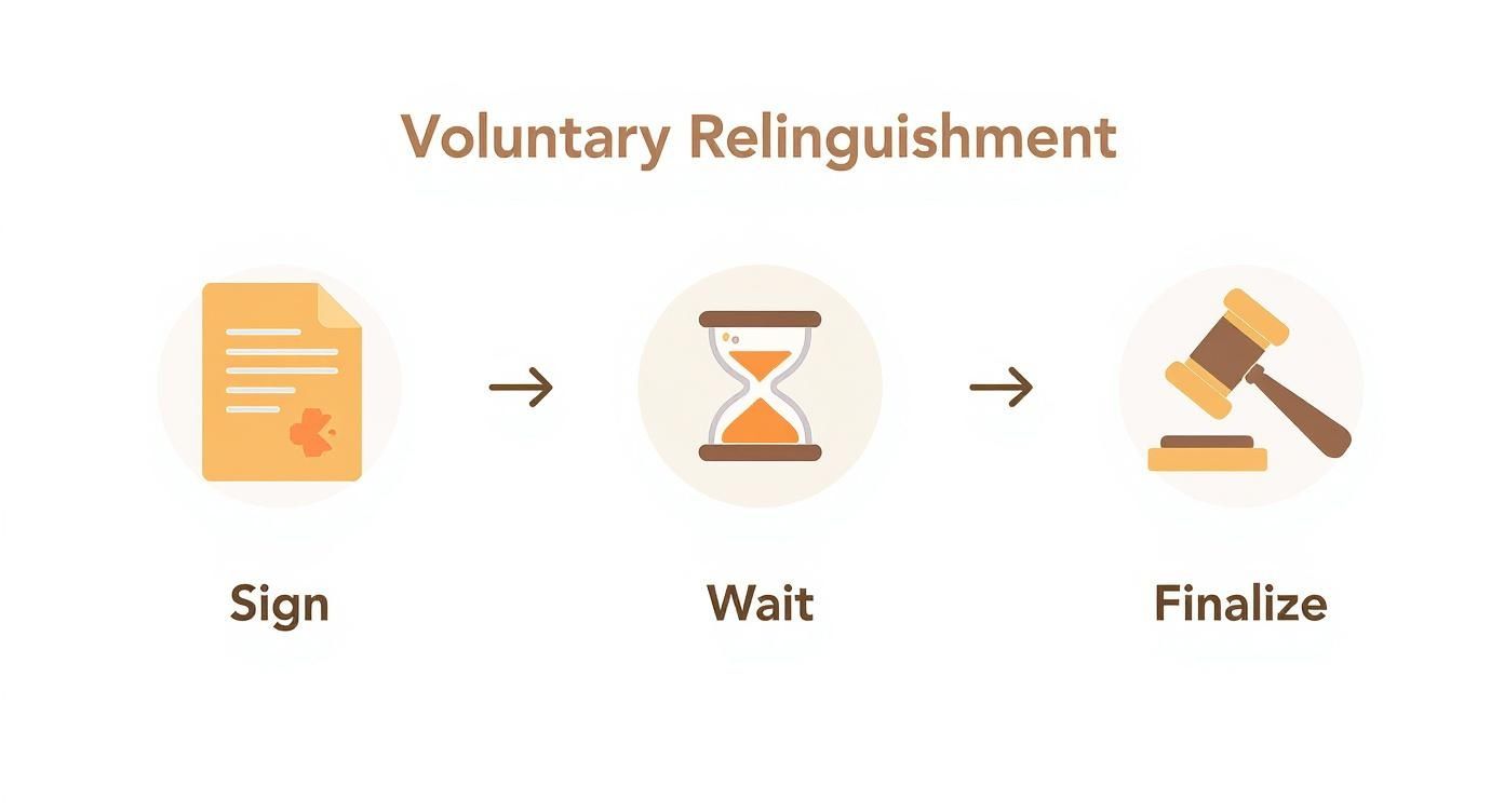 Infographic about terminate parental rights texas