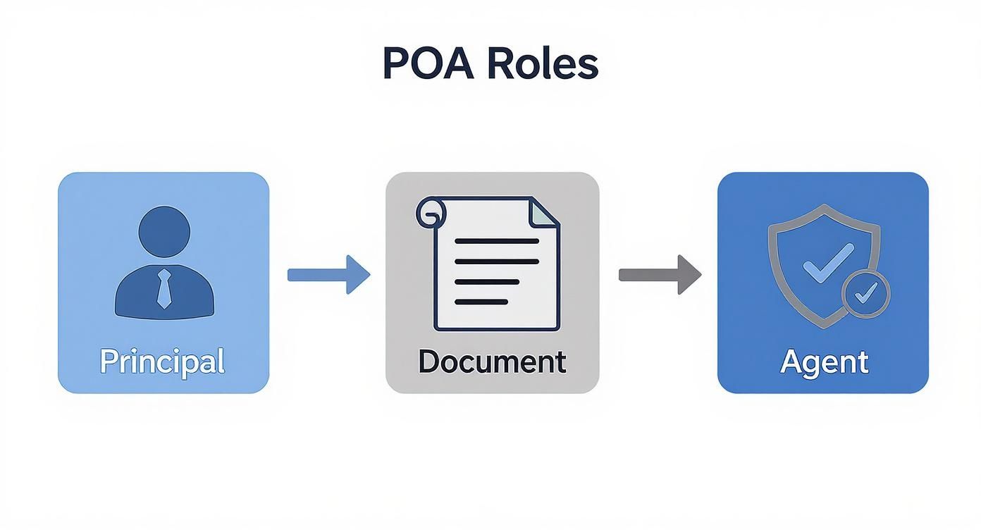 Flowchart showing power of attorney roles with principal creating document for agent