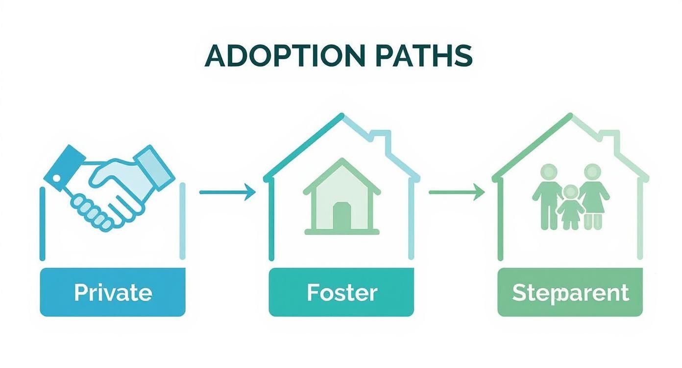 Adoption paths graphic illustrating private, foster, and stepparent adoption options, with icons representing a handshake, a house, and a family.