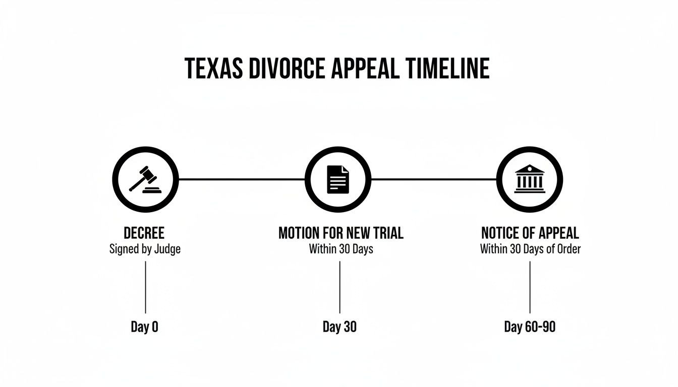 Timeline illustrating the Texas divorce appeal process with key dates and legal actions.