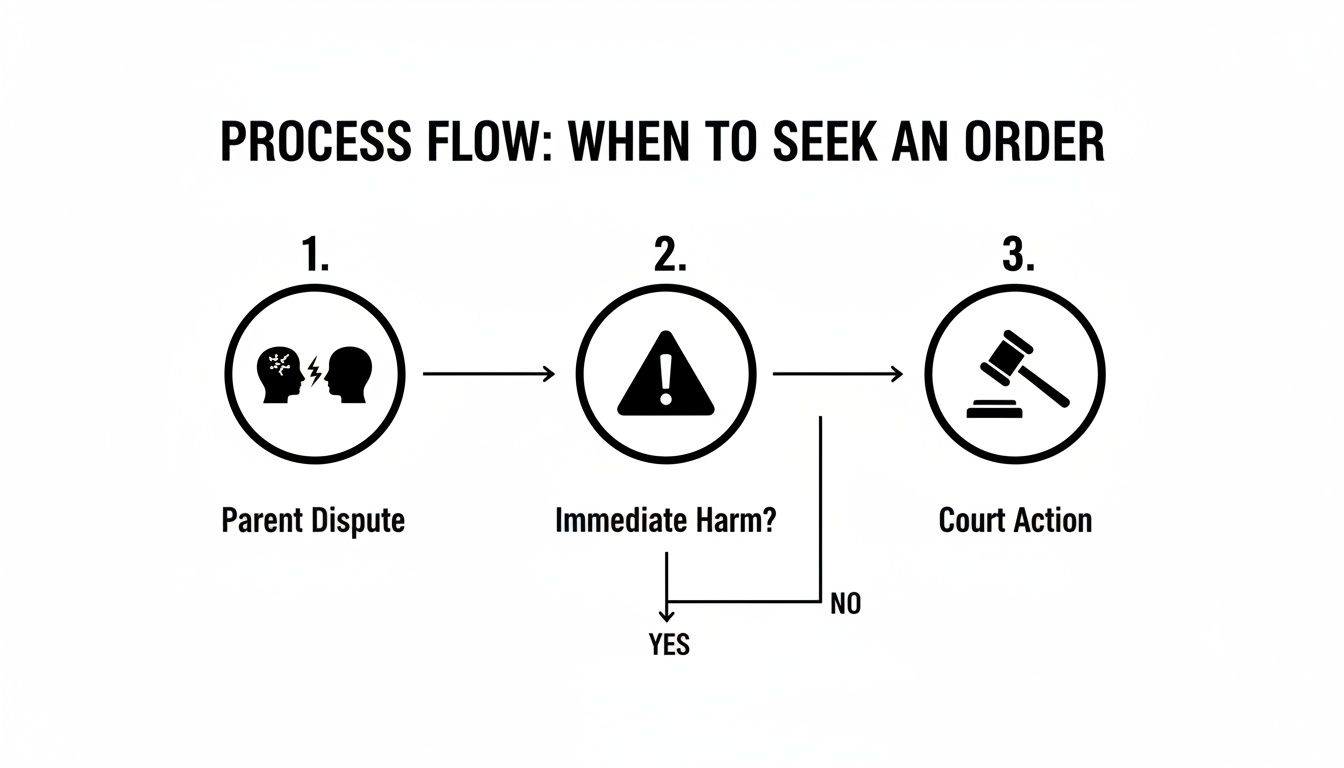 Diagram illustrating the process for seeking a court order: parent dispute, assessing immediate harm, then court action.