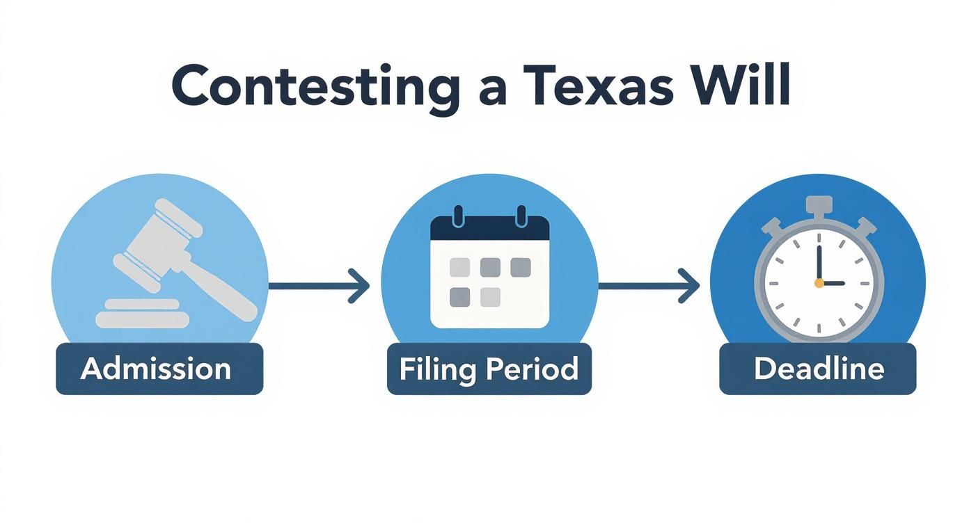 Infographic about contesting a will in texas