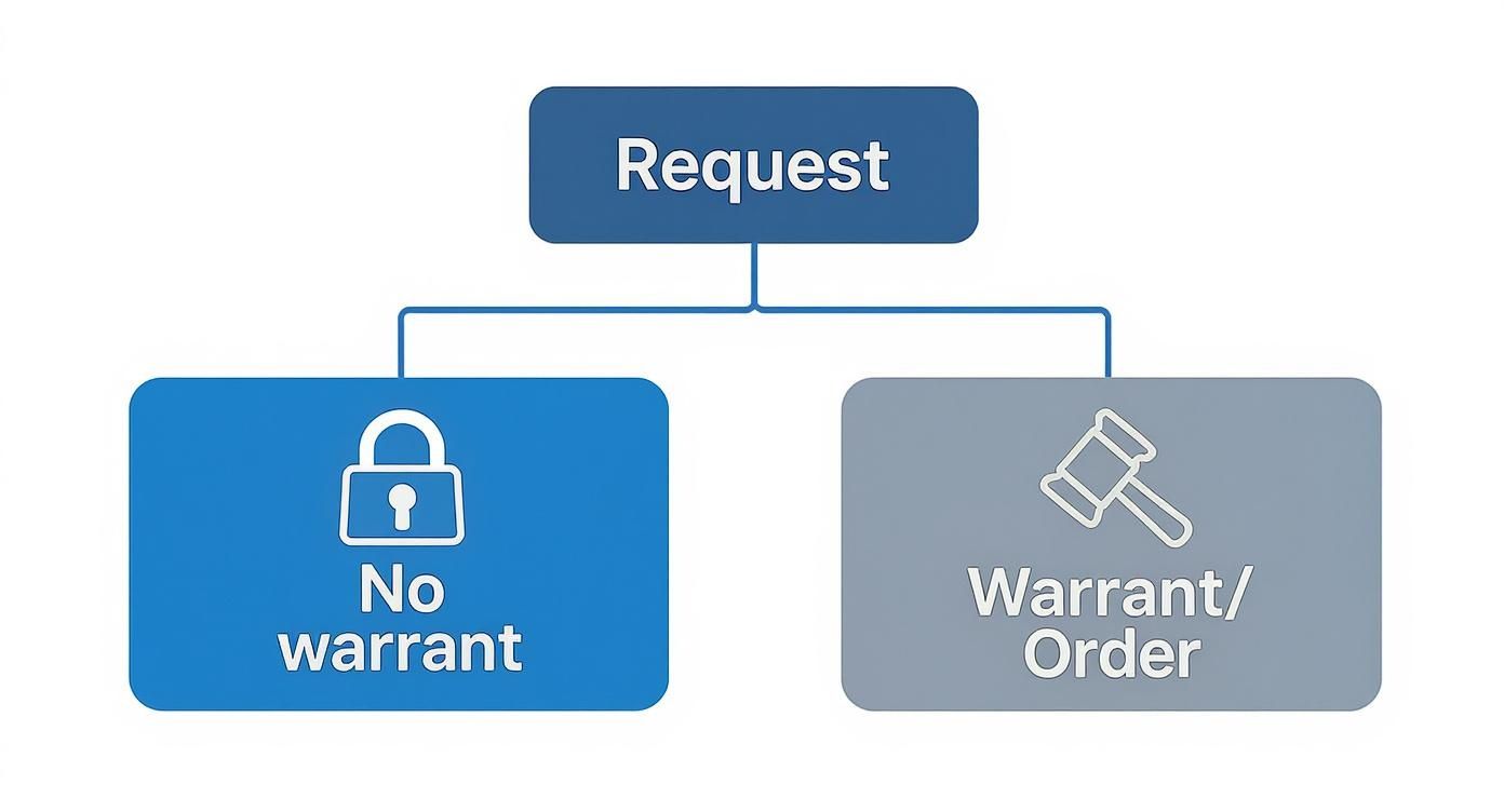 Infographic decision tree for caseworker requests with and without a warrant.