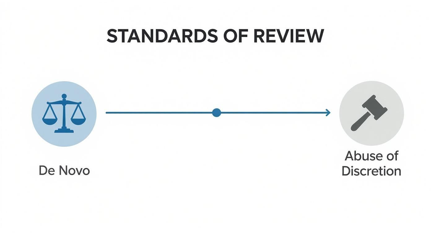 Standards of review diagram showing spectrum from de novo to abuse of discretion in family court appeals