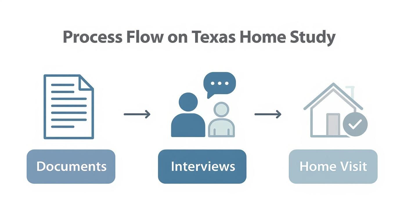 Infographic showing the Texas home study process flow with icons for documents, interviews, and a home visit.