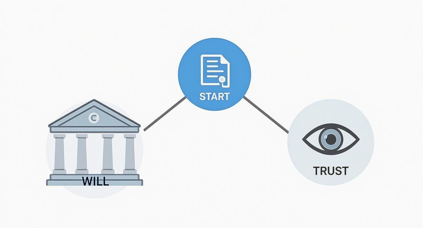 Infographic illustrating the distinction between a will and a trust, featuring a courthouse symbol labeled "WILL," a central node labeled "START," and an eye symbol labeled "TRUST," emphasizing estate planning options.