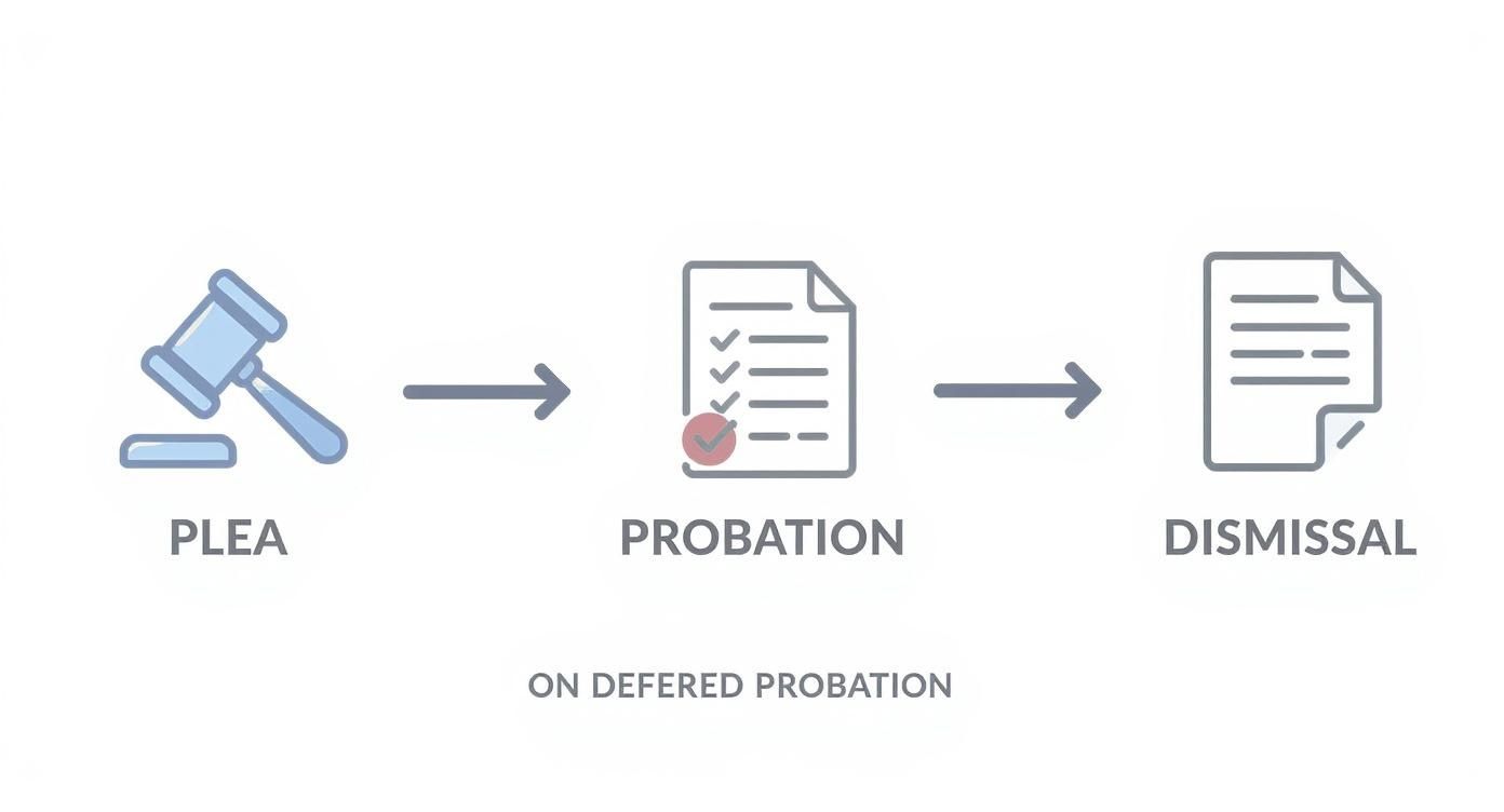 Infographic about what is deferred probation