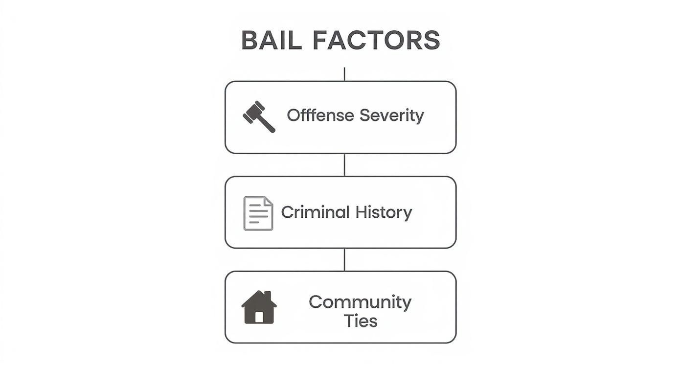 An infographic decision tree showing the factors that influence bail amounts, including offense severity, criminal history, and community ties.
