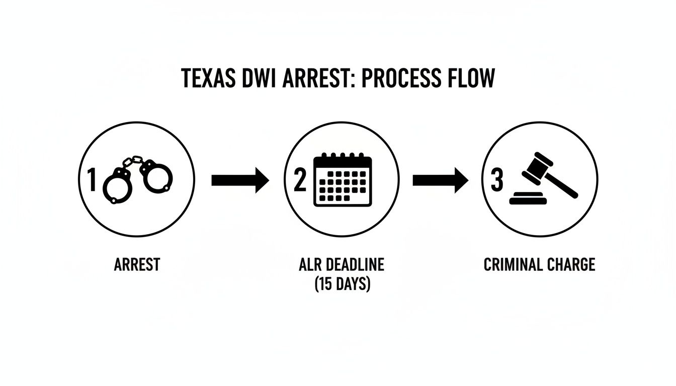 Infographic illustrating the Texas DWI arrest process flow with three key steps: Arrest, ALR Deadline, and Criminal Charge.