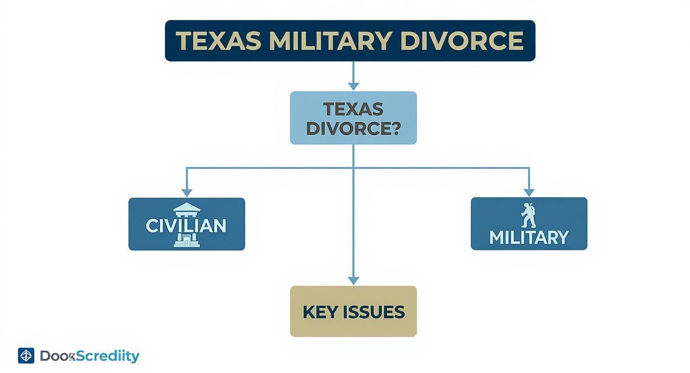 Infographic about military divorce laws texas