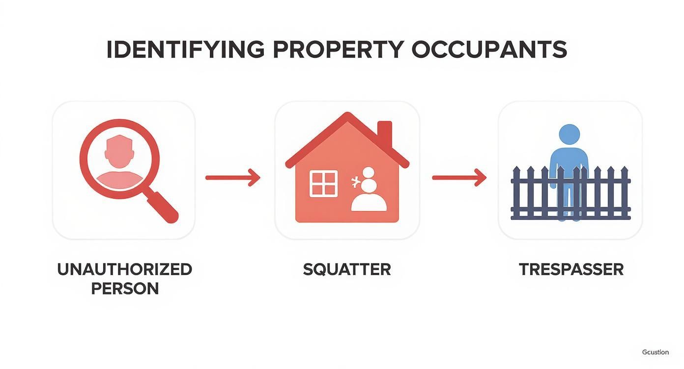 Infographic illustrating the process of identifying property occupants: unauthorized person, squatter, and trespasser, with visual icons and arrows connecting each stage.