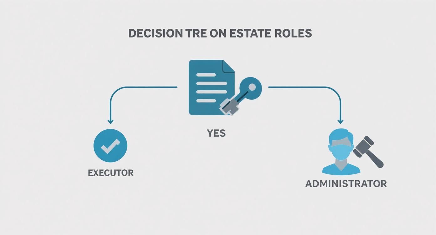 Infographic about difference between executor and administrator
