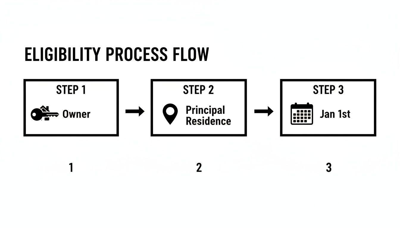 Eligibility process flow for homestead exemption, detailing owner, principal residence, and January 1st criteria.