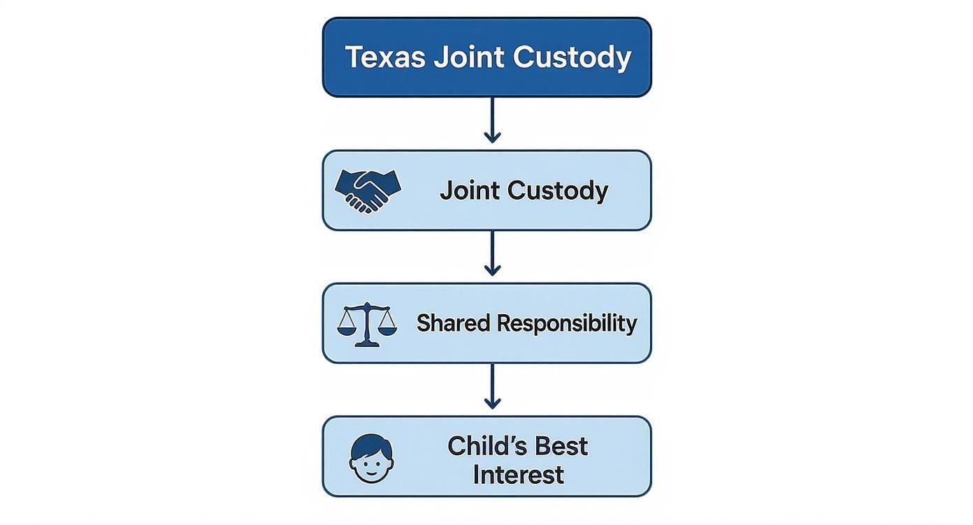 A flowchart detailing Texas joint custody principles: joint custody, shared responsibility, and child's best interest.