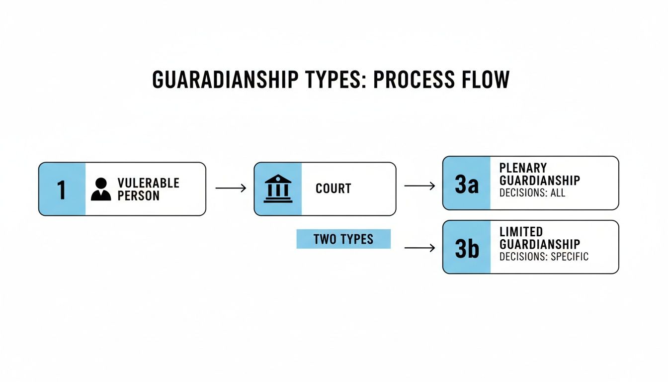 Flowchart illustrating the process and two types of guardianship: plenary and limited, following court involvement for a vulnerable person.