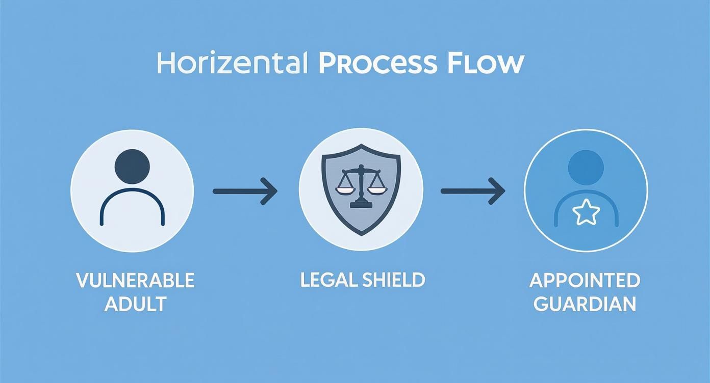 Infographic about elderly legal guardianship