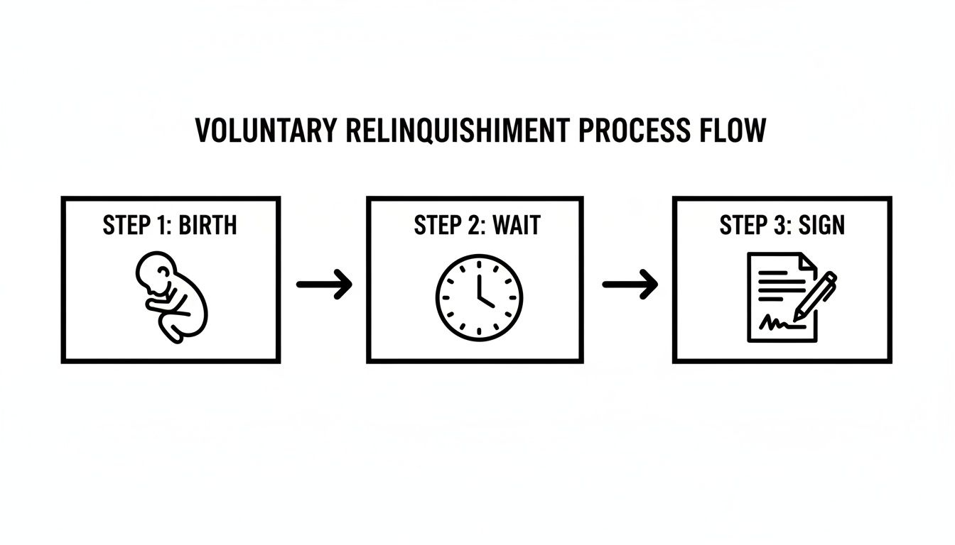 Flowchart illustrating the voluntary relinquishment process with steps for birth, waiting, and signing.