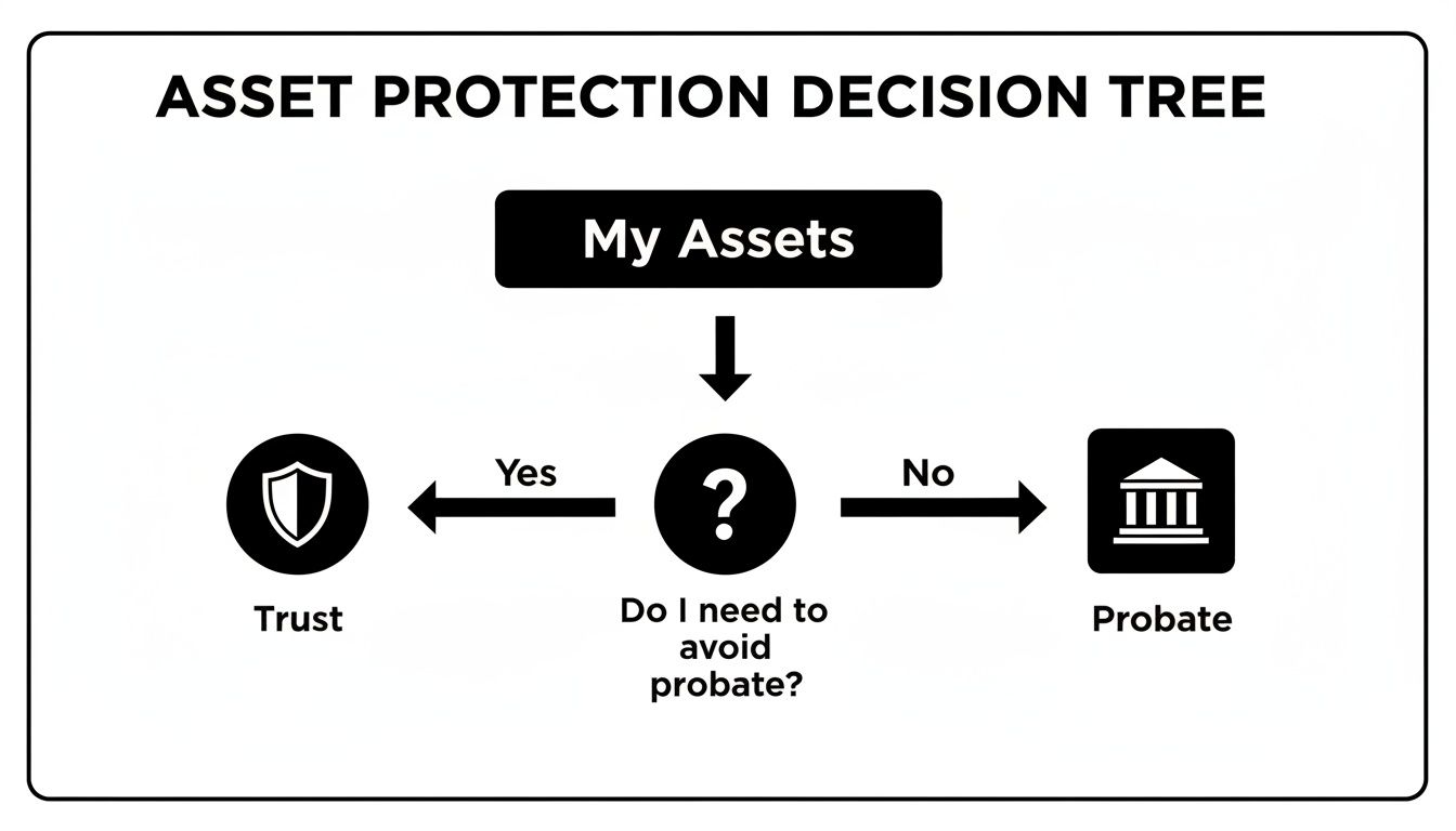 Asset protection decision tree illustrating trust versus probate options for safeguarding assets, emphasizing the importance of avoiding probate in estate planning.