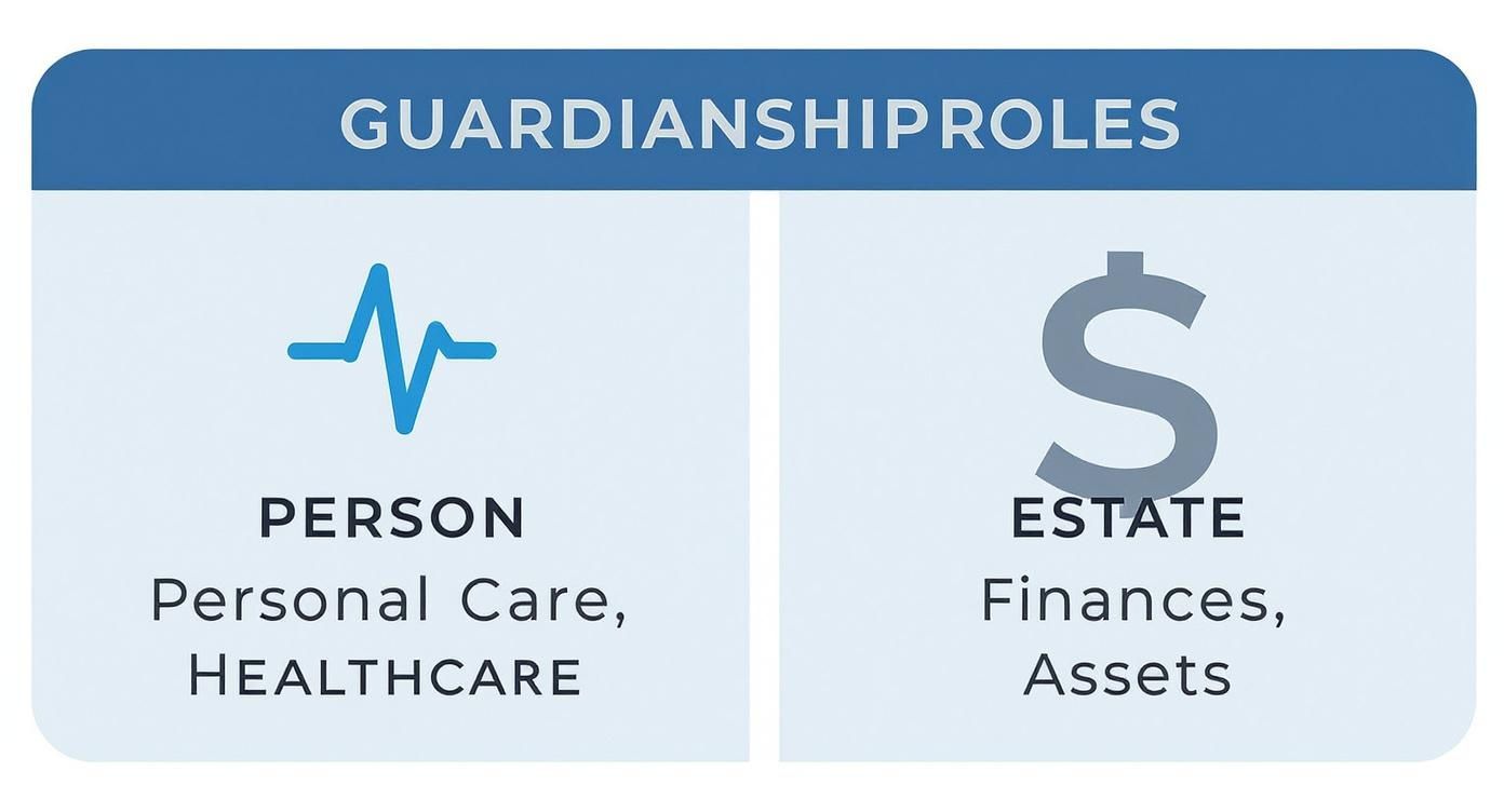 Guardianship roles diagram showing person care healthcare versus estate finances and assets responsibilities