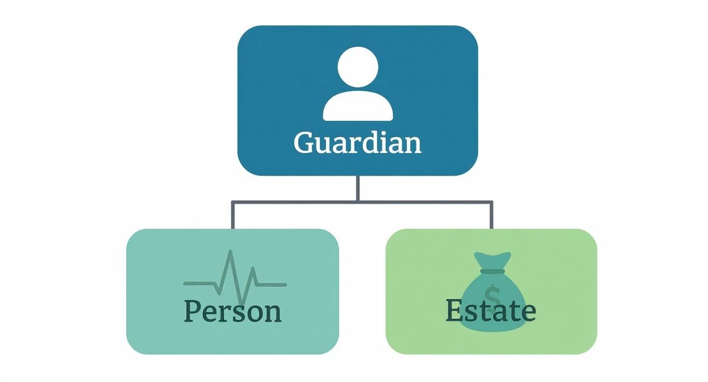 Hierarchical diagram showing guardian role overseeing person and estate responsibilities with icons