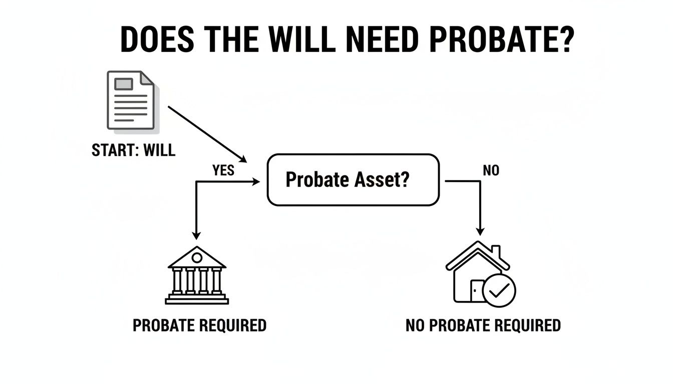 Flowchart illustrating the decision-making process for whether a will requires probate, featuring a starting point labeled "Start: Will," leading to a question about probate assets with outcomes indicating "Probate Required" or "No Probate Required."
