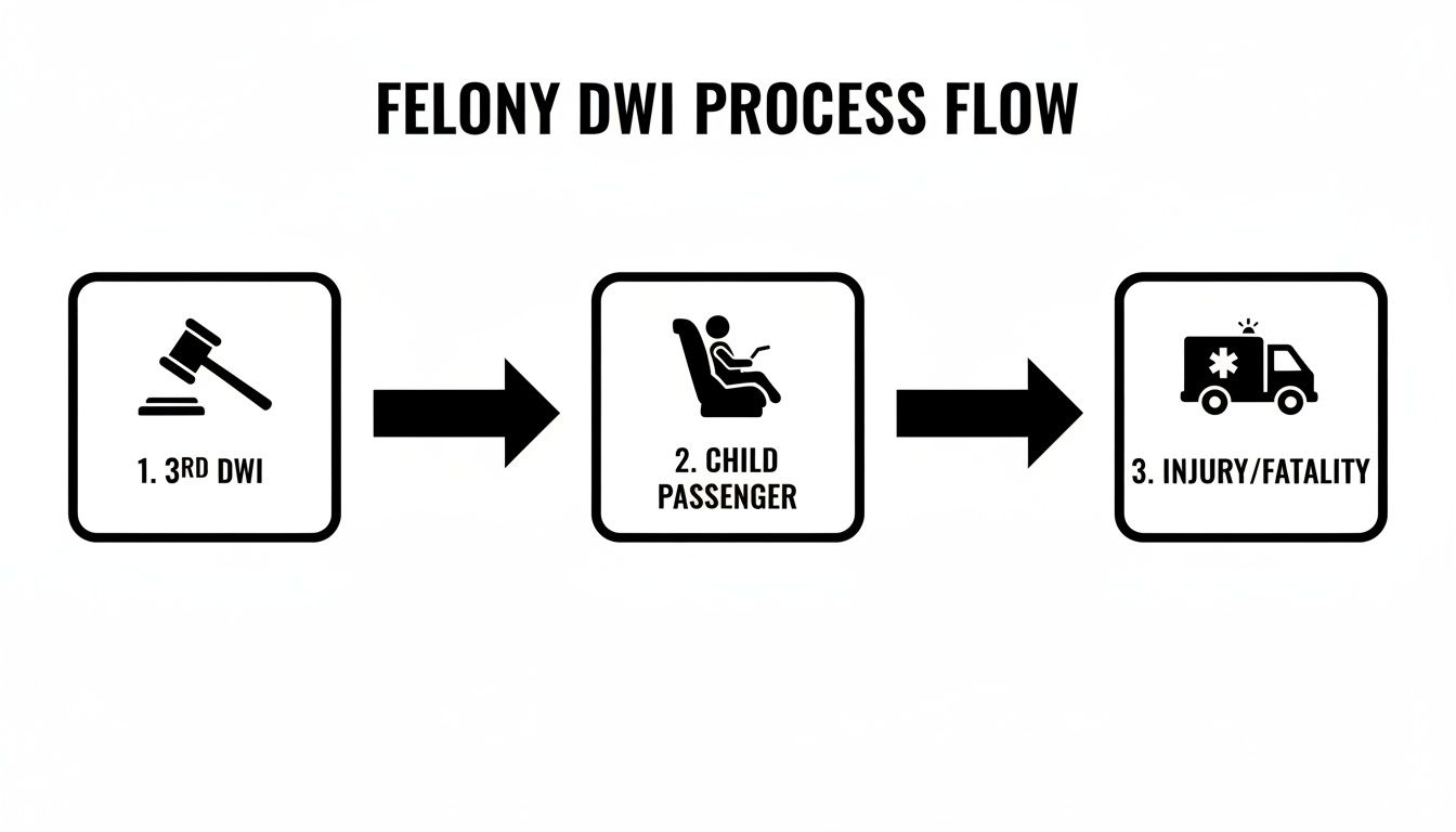 Felony DWI process flow infographic illustrating consequences of third DWI offense, child passenger involvement, and resulting injury or fatality.