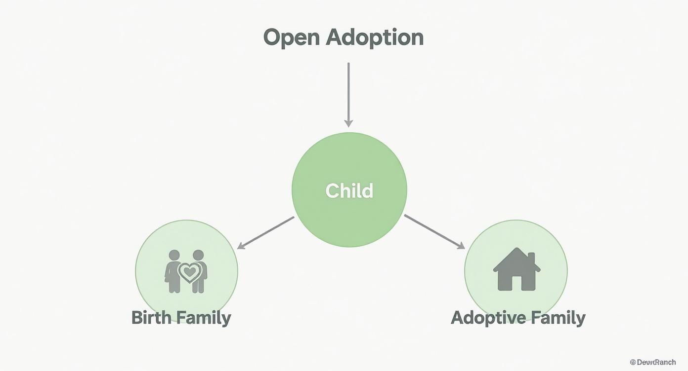 Infographic about what is open adoption