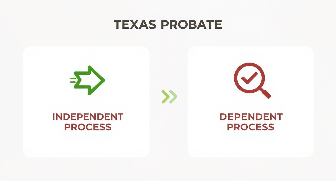 Texas probate infographic illustrating independent and dependent processes, featuring directional arrows and checkmark symbols.