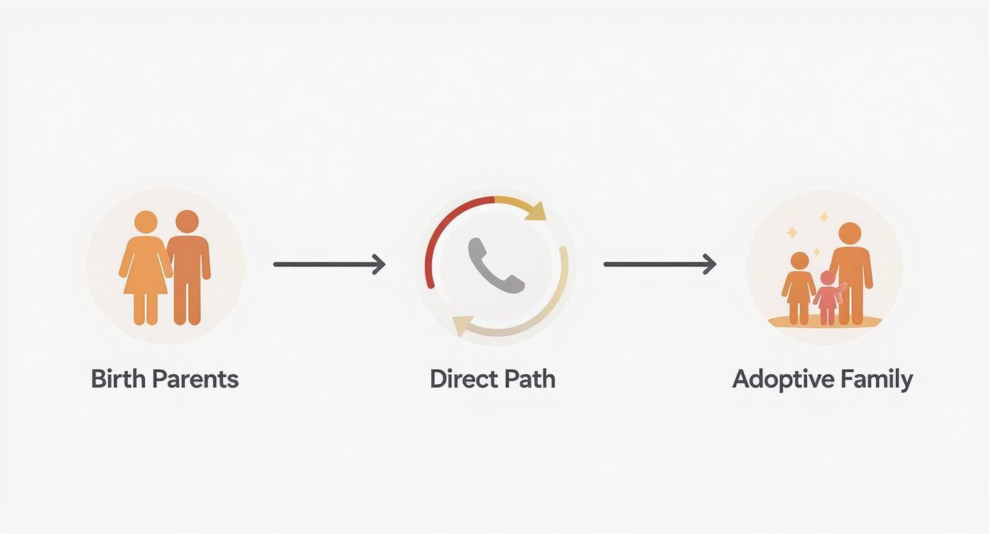 Infographic about what is private adoption