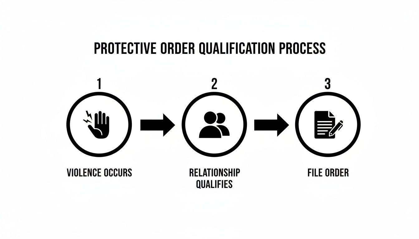 A three-step flowchart illustrates the protective order qualification process, from violence to filing.