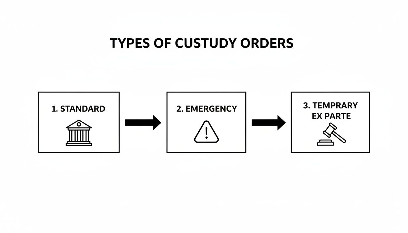 A diagram illustrating three types of custody orders: standard, emergency, and temporary ex parte, with icons.