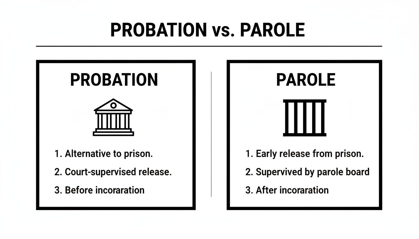 A comparison chart illustrating the differences between probation and parole, with key characteristics.
