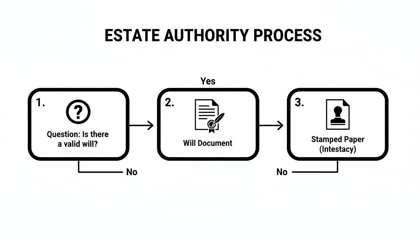 Flowchart illustrating the estate authority process, asking if a valid will exists, leading to a will document or intestacy.