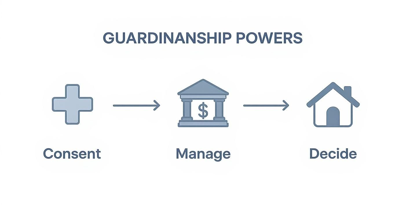 Infographic showing the powers of a guardian, including consenting to medical care, managing finances, and deciding on living arrangements.