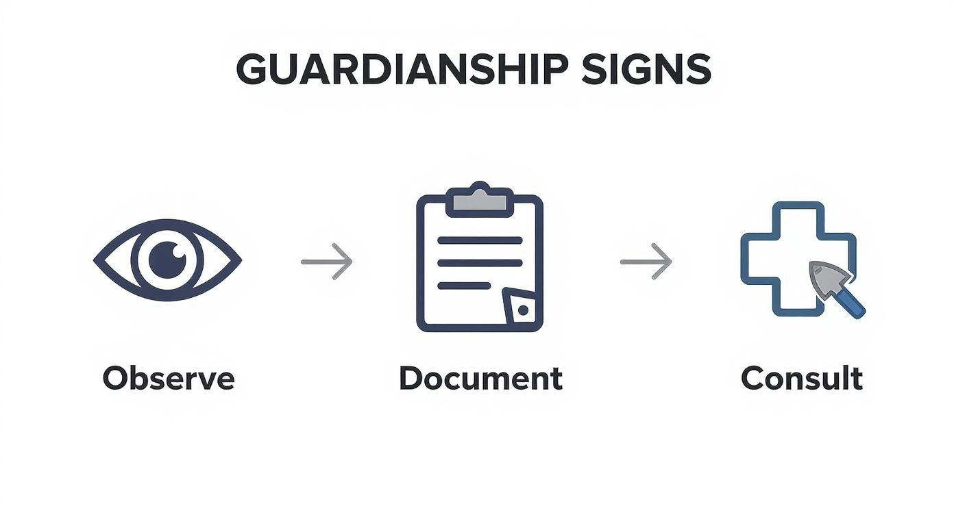 Infographic showing the process of observing, documenting, and consulting before seeking guardianship.