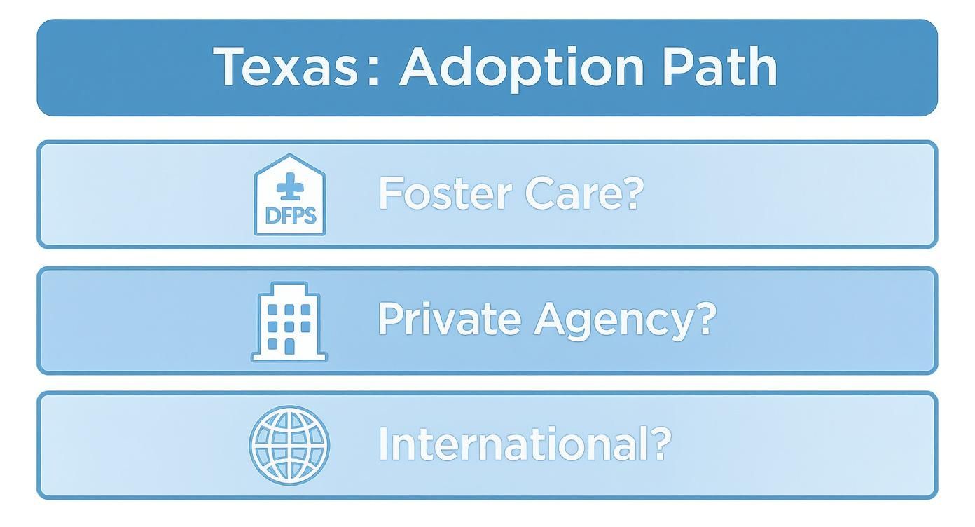 A flowchart titled 'Texas: Adoption Path' showing options for adoption: Foster Care, Private Agency, and International.