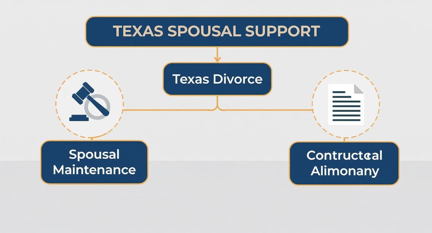 Infographic about what is spousal support in texas