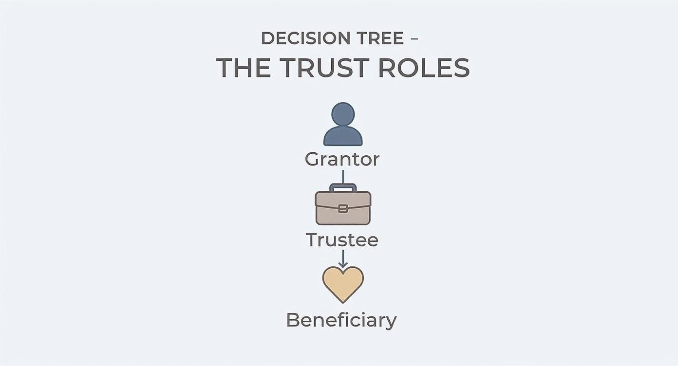 Decision tree illustrating the roles in a special needs trust: Grantor, Trustee, and Beneficiary, emphasizing their relationships and functions.