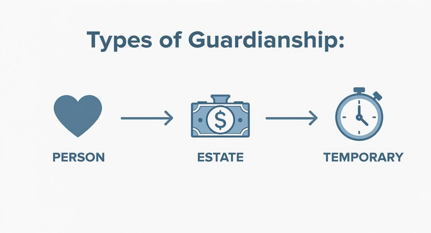 An infographic displaying three types of guardianship: person, estate, and temporary, with respective icons.
