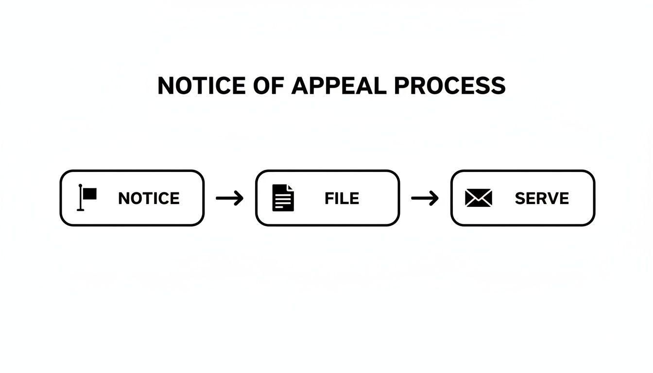 Infographic about what is notice of appeal