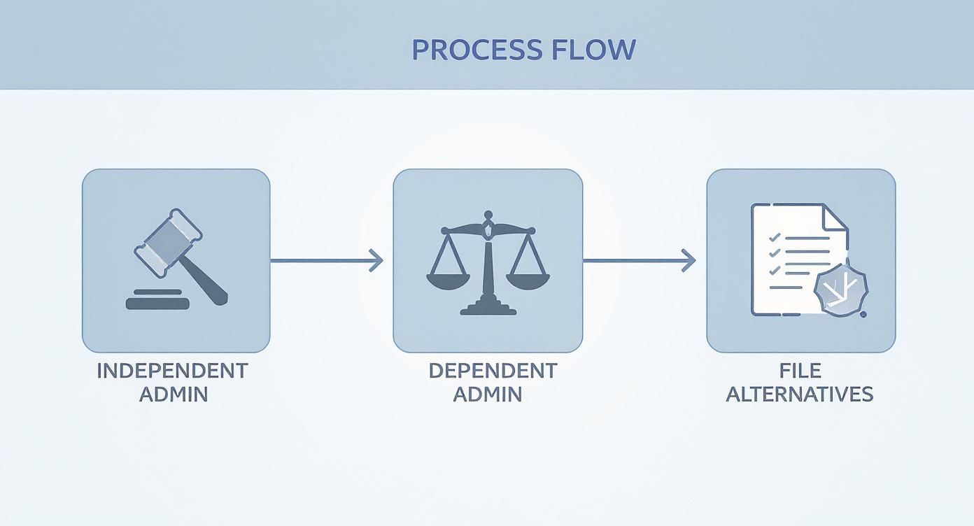 Infographic about how to probate a will in texas