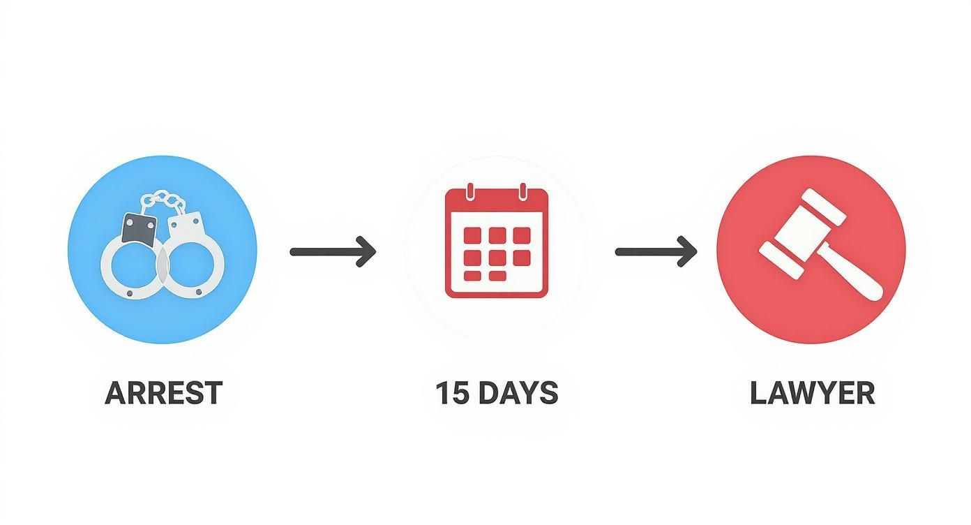 Infographic about dwi lawyer houston tx