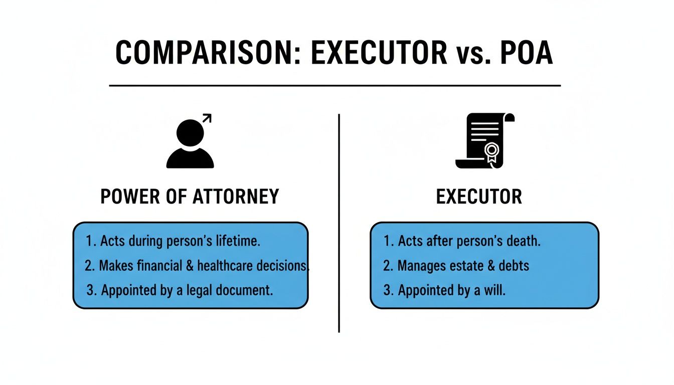 Comparison chart of Power of Attorney and Executor roles, highlighting key differences: Power of Attorney acts during a person's lifetime, makes financial and healthcare decisions, appointed by a legal document; Executor acts after death, manages estate and debts, appointed by a will.