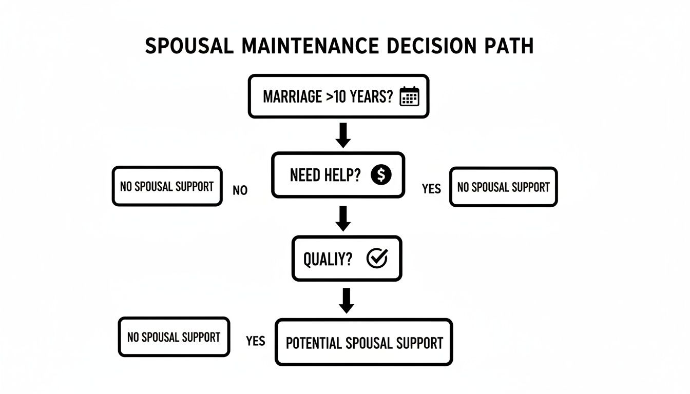 Flowchart illustrating the spousal maintenance decision path based on marriage duration, financial need, and qualification.
