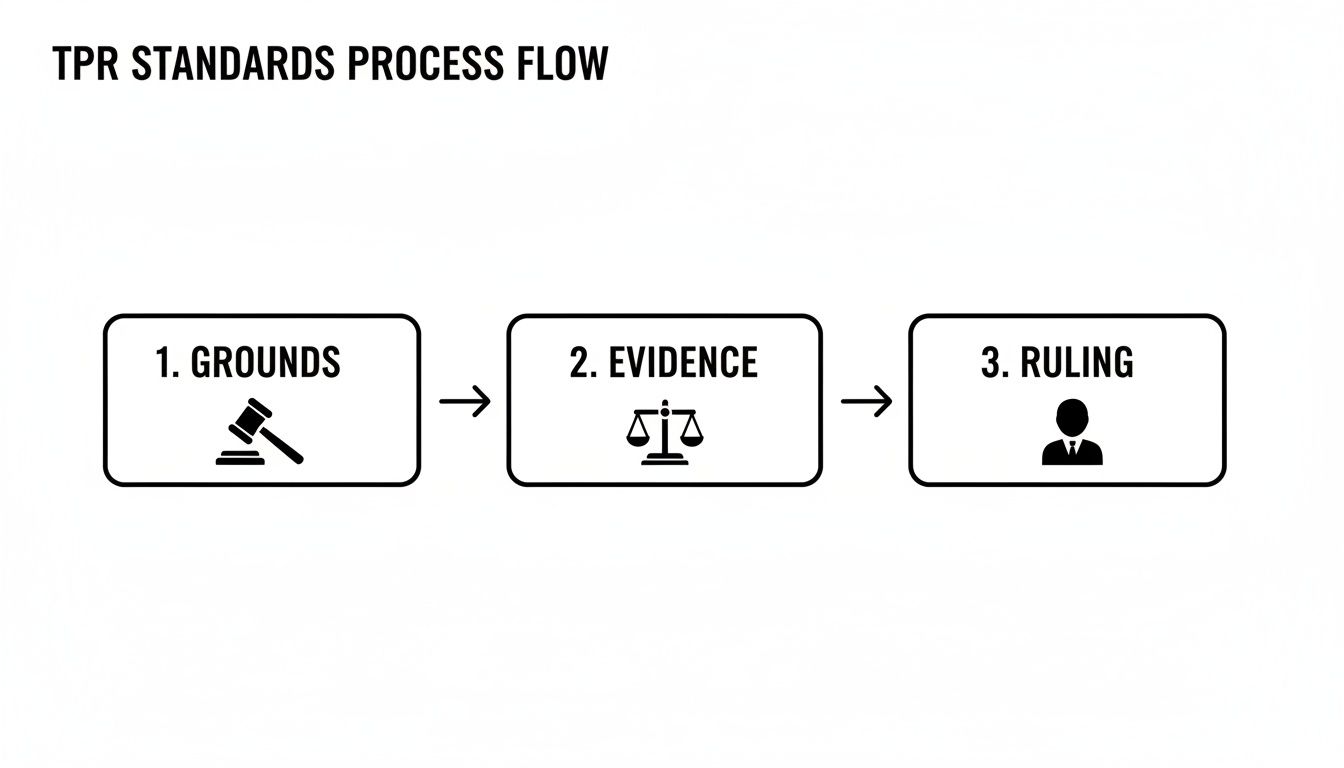 A flow chart illustrating the TPR Standards Process with three sequential steps: Grounds, Evidence, and Ruling.