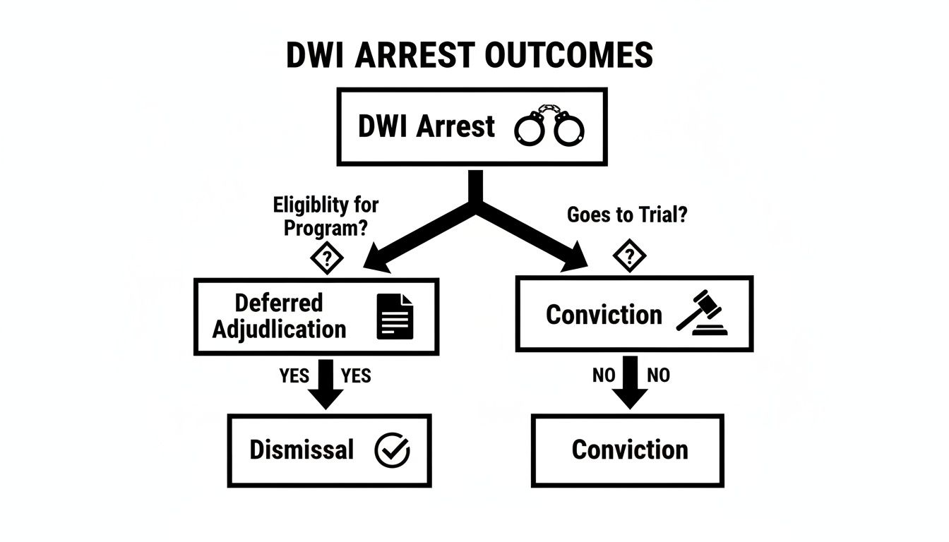 A flowchart illustrates DWI arrest outcomes, showing paths to deferred adjudication for dismissal or direct conviction.