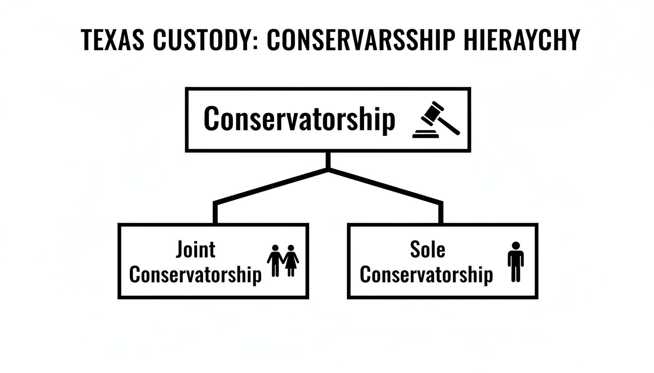 A diagram illustrating Texas conservatorship hierarchy, breaking down into joint and sole conservatorship, with a gavel icon.